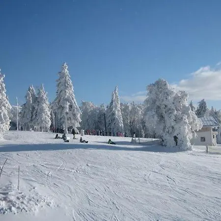 Kricklsaege